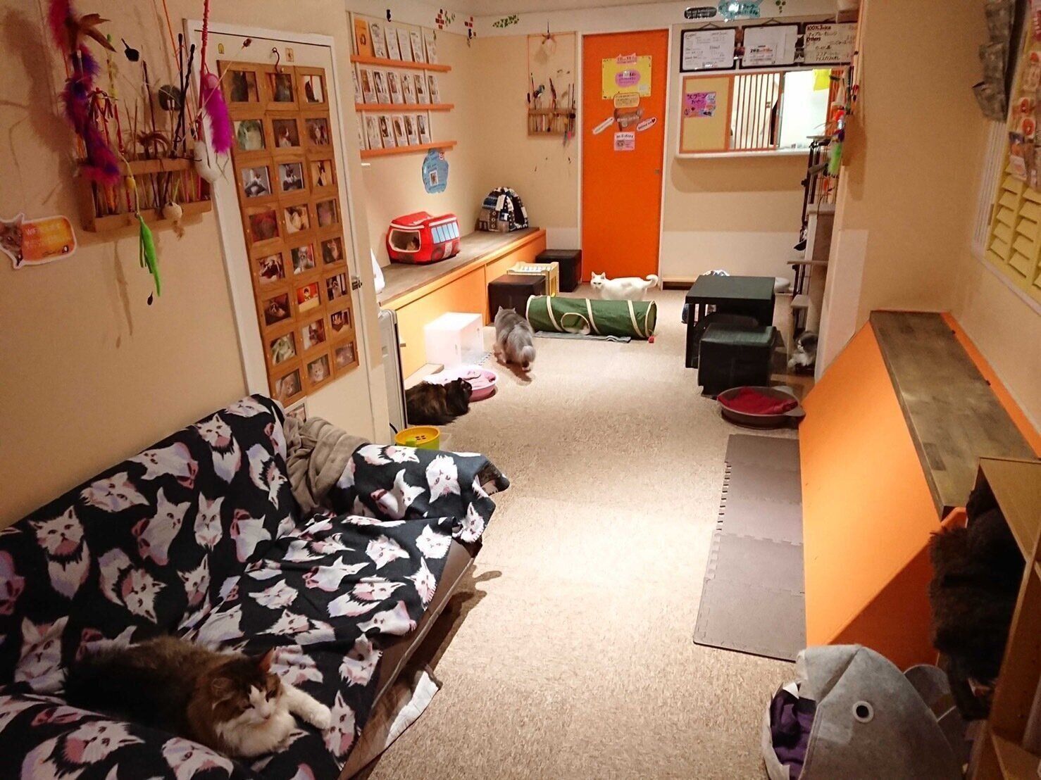 暖かい色合いでまとめられた店内