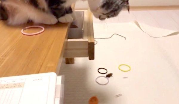 散らかすラムちゃん