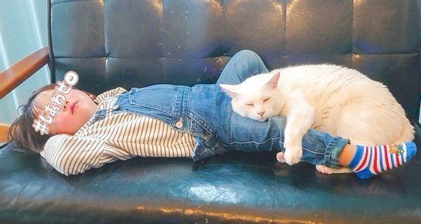 男の子の足をギュッと抱きしめて眠るブランちゃん