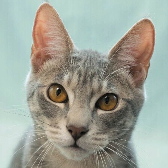 撮影／小森正孝