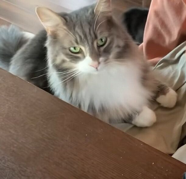 しっかりいい位置をキープする蒼ちゃん