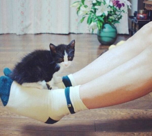 子猫時代のキキ様