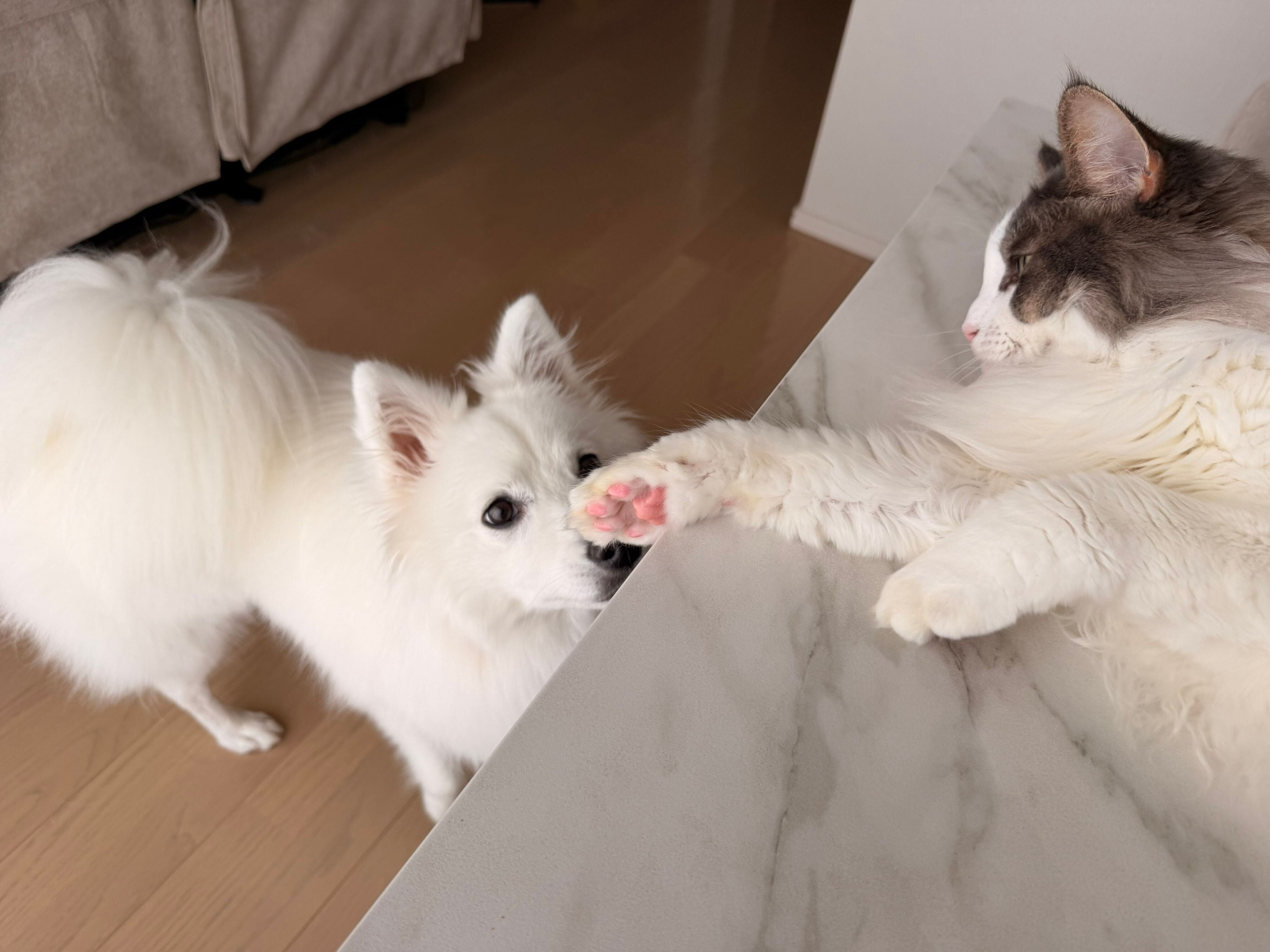 ライムくんとレモンくん