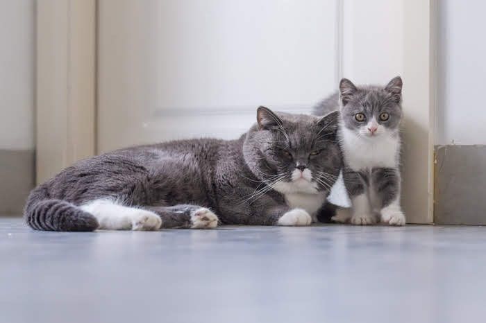 かわいい親子♡