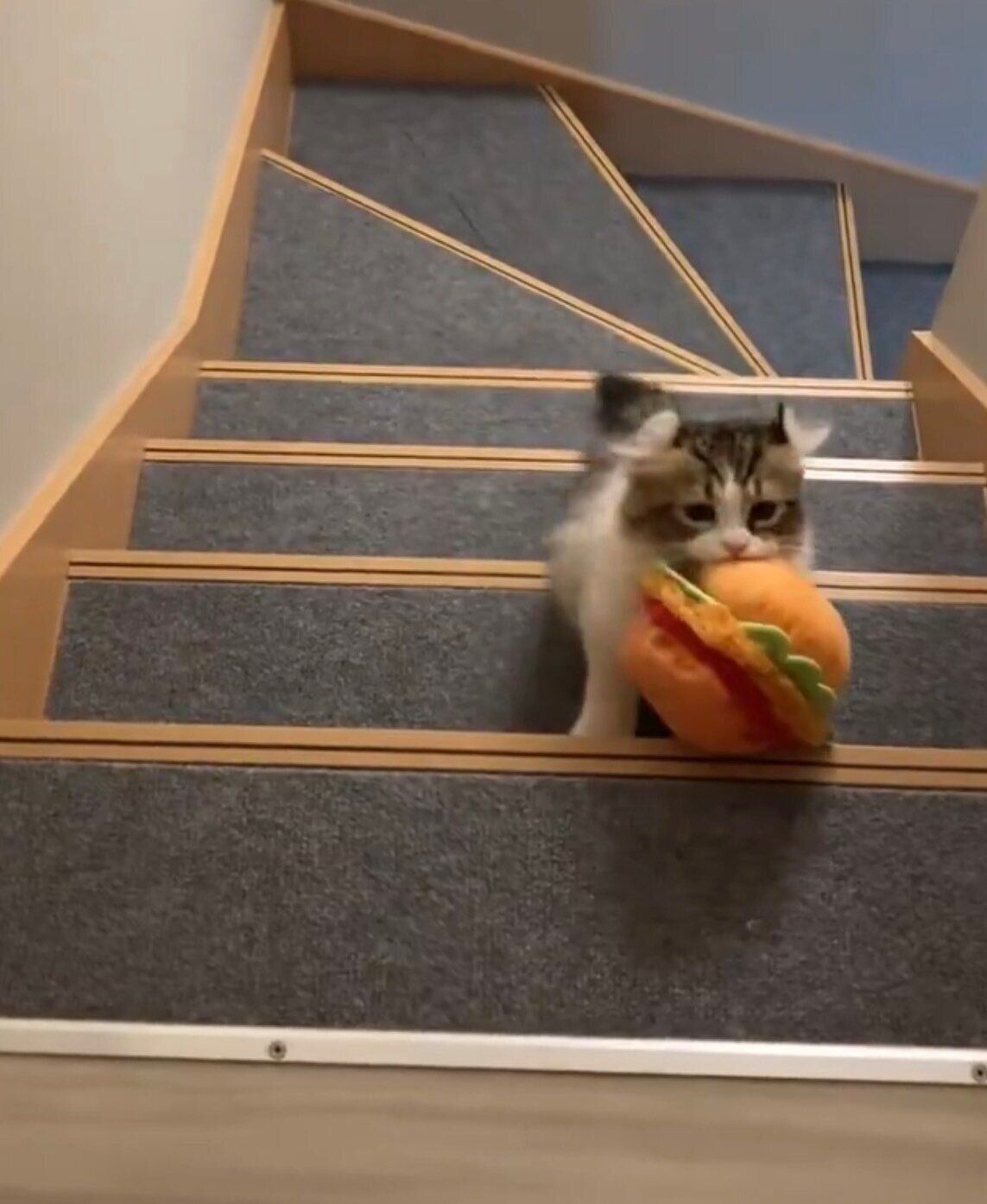 2階まで“ハンバーガー運び”をするプティくん。