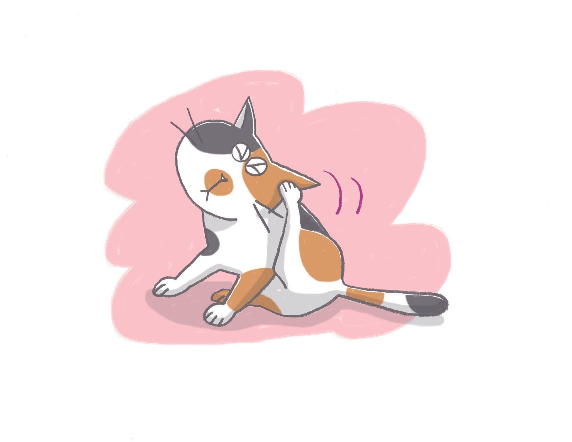 イラスト／上垣厚子