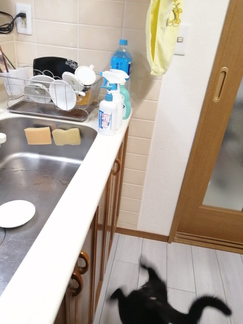 落ちていくうにちゃん