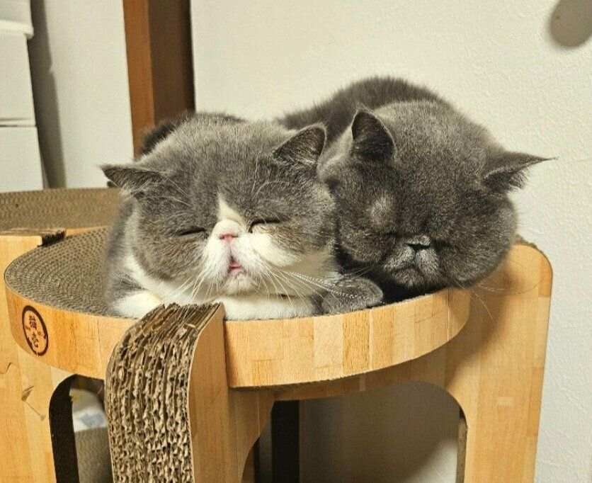 三郎くんとの可愛いツーショット。