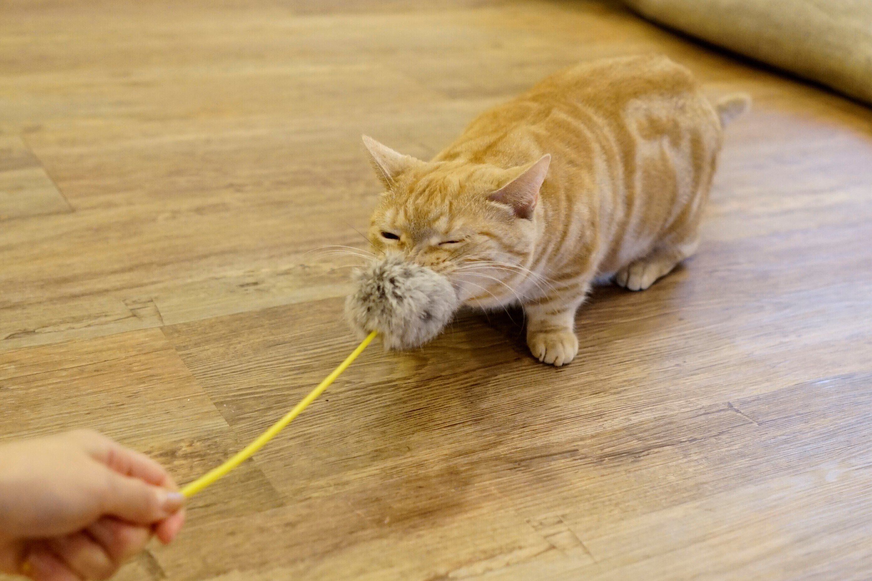 撮影／石原さくら