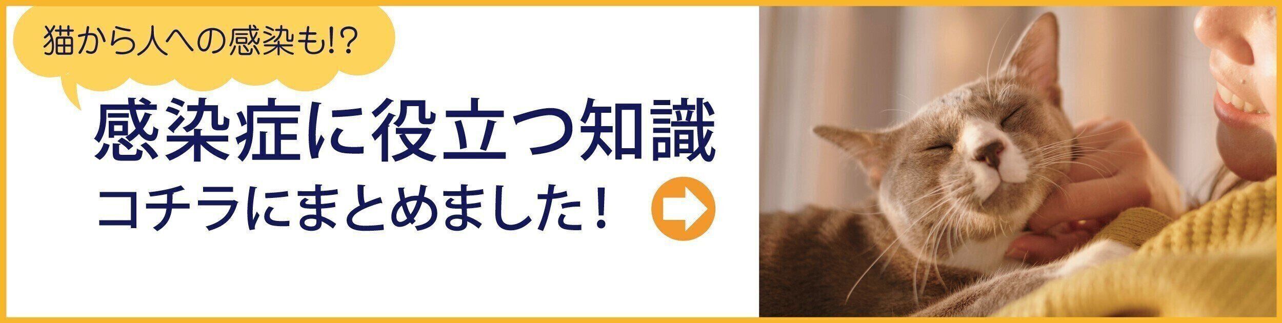 感染症に役立つ知識コチラにまとめました!