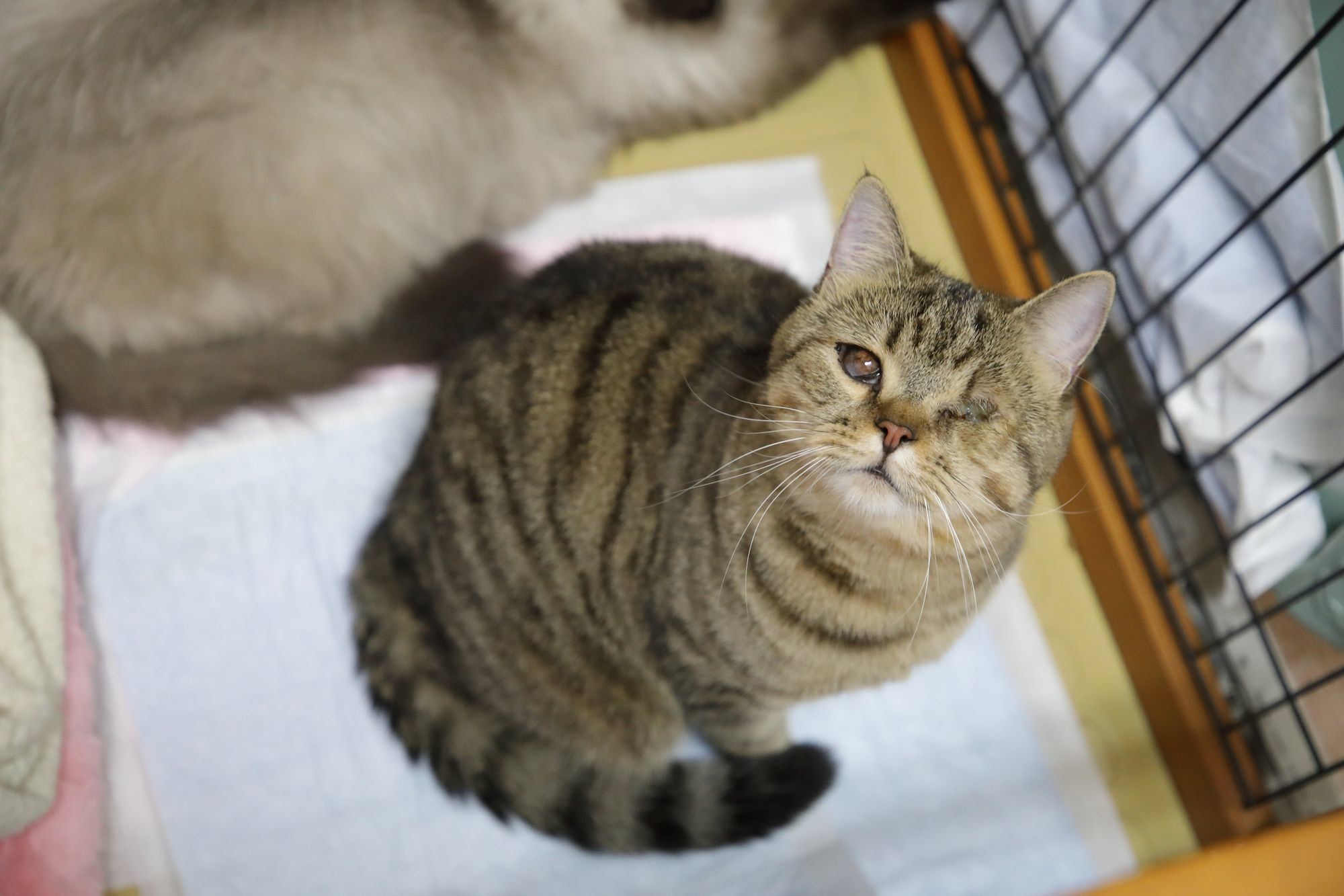 撮影／尾﨑たまき