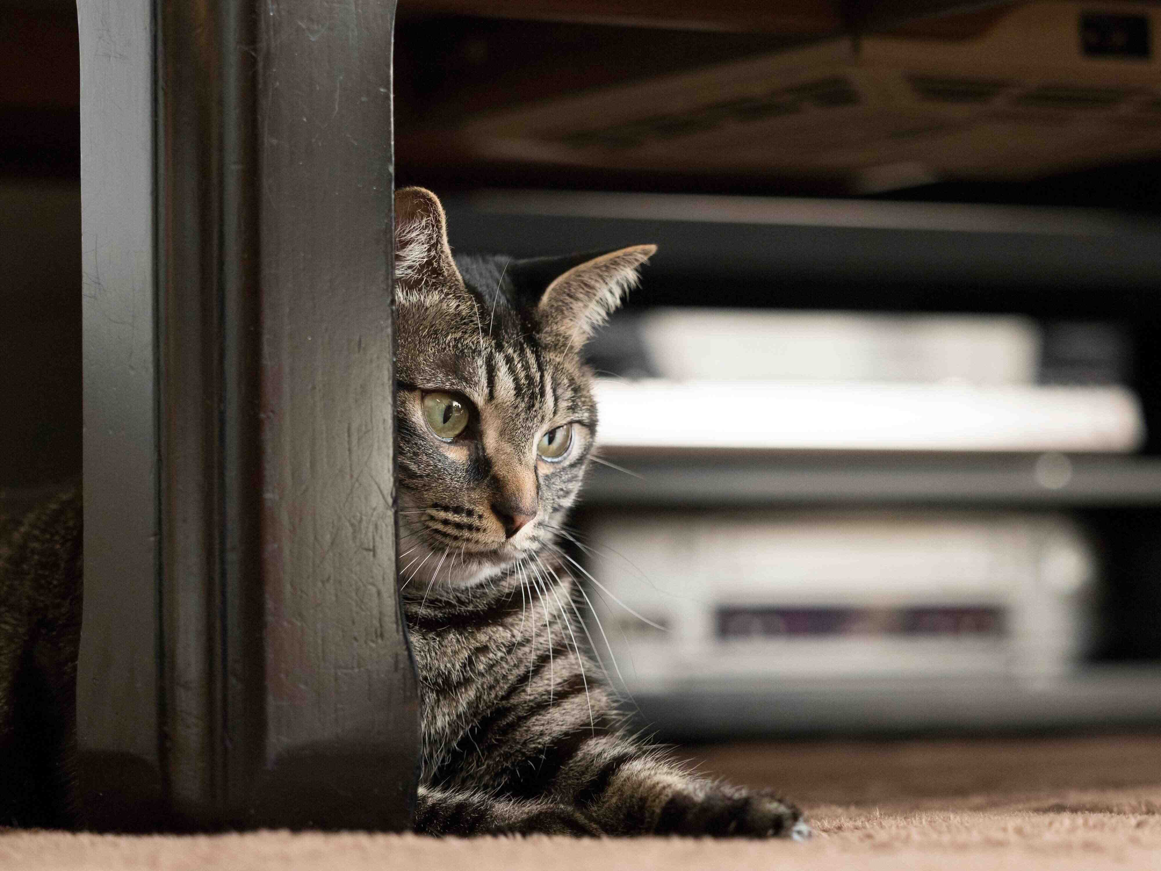 撮影／小森正孝