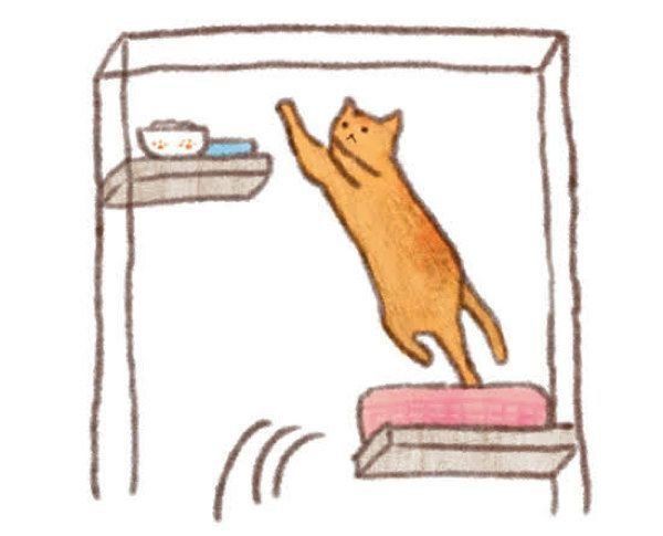 猫のケージのメリットと慣れさせ方