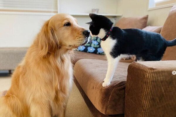 仲良しなコメちゃんとウメちゃん