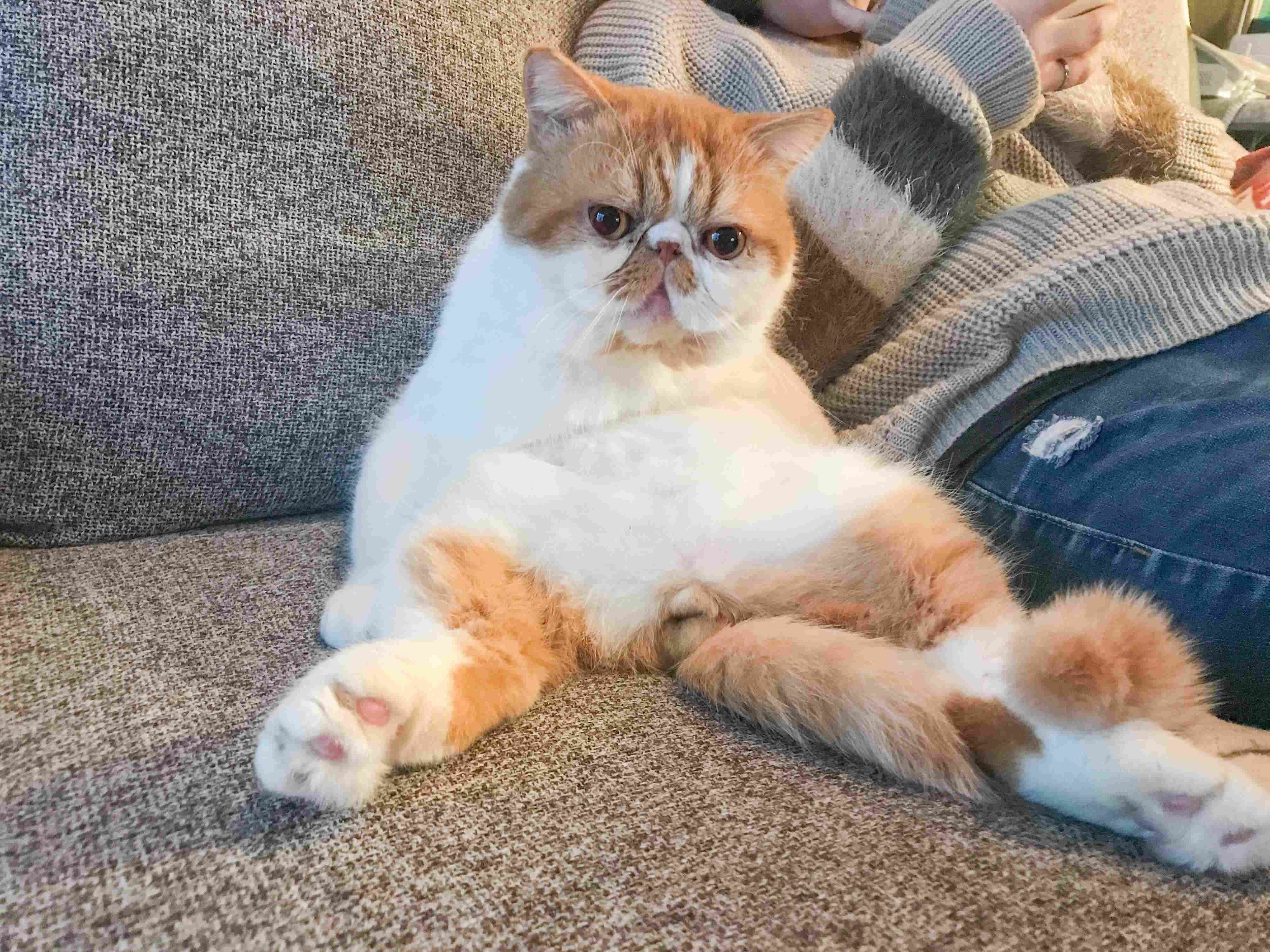 撮影／長谷川里美