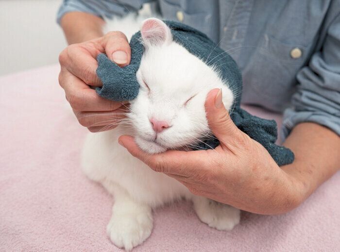 目の下も拭いて