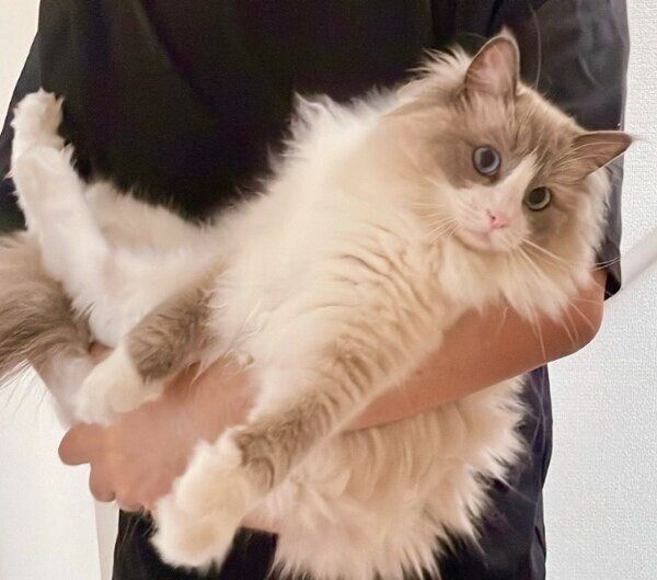 大きく成長した乃蒼くん