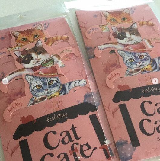 キャットカフェ2