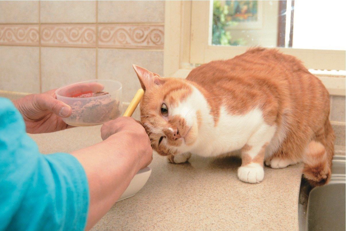 撮影／栗林  愛