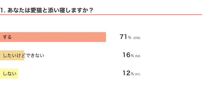 愛猫と添い寝しますか?