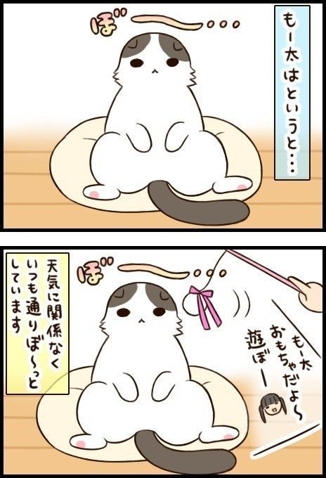 「もふもふスコたん」26話目