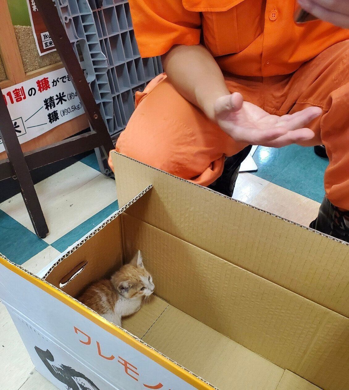 レスキュー隊に助けてもらったサスケくん。