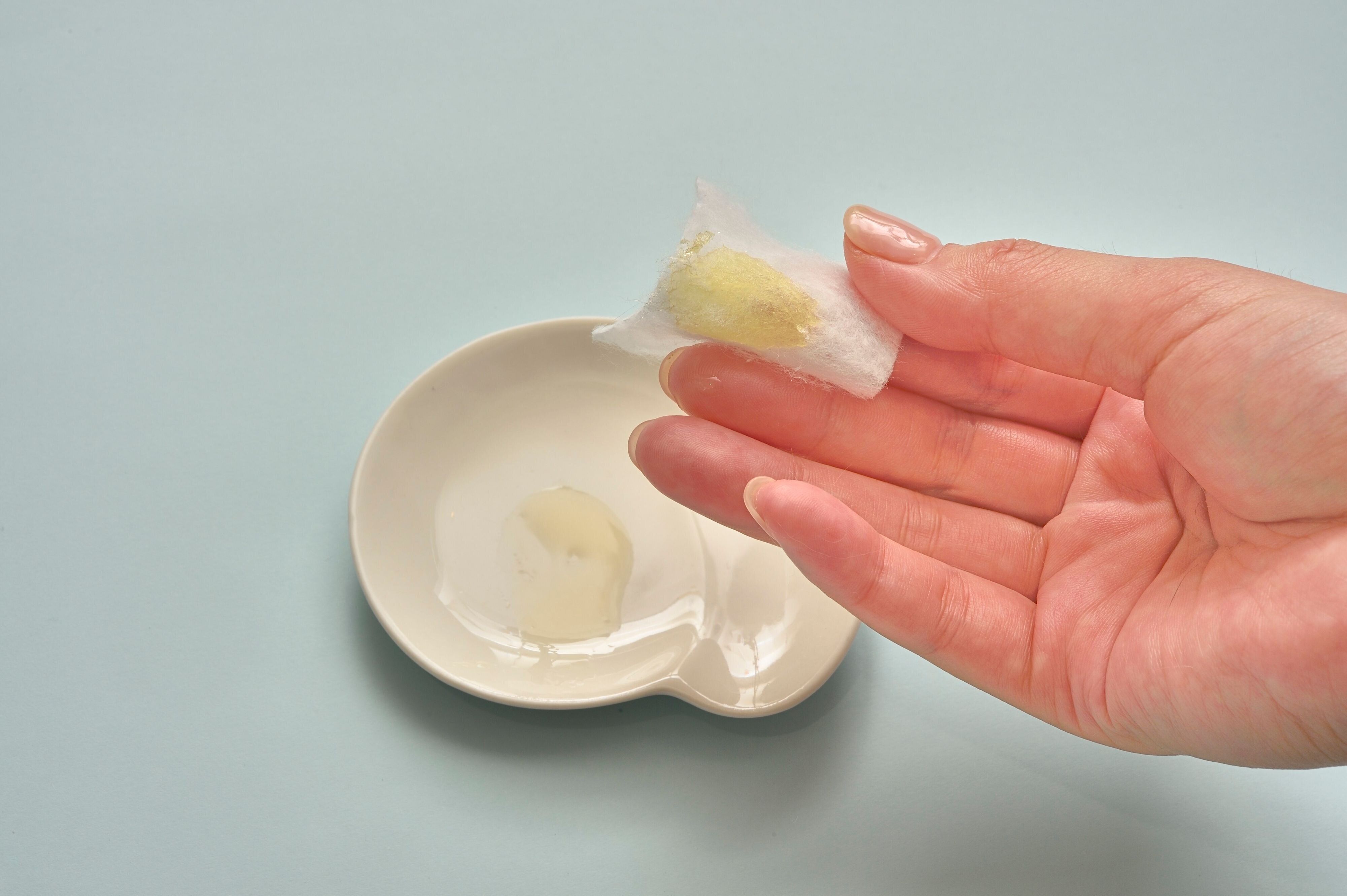 撮影／佐藤正之