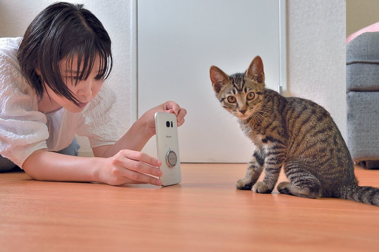 撮影／佐藤正之