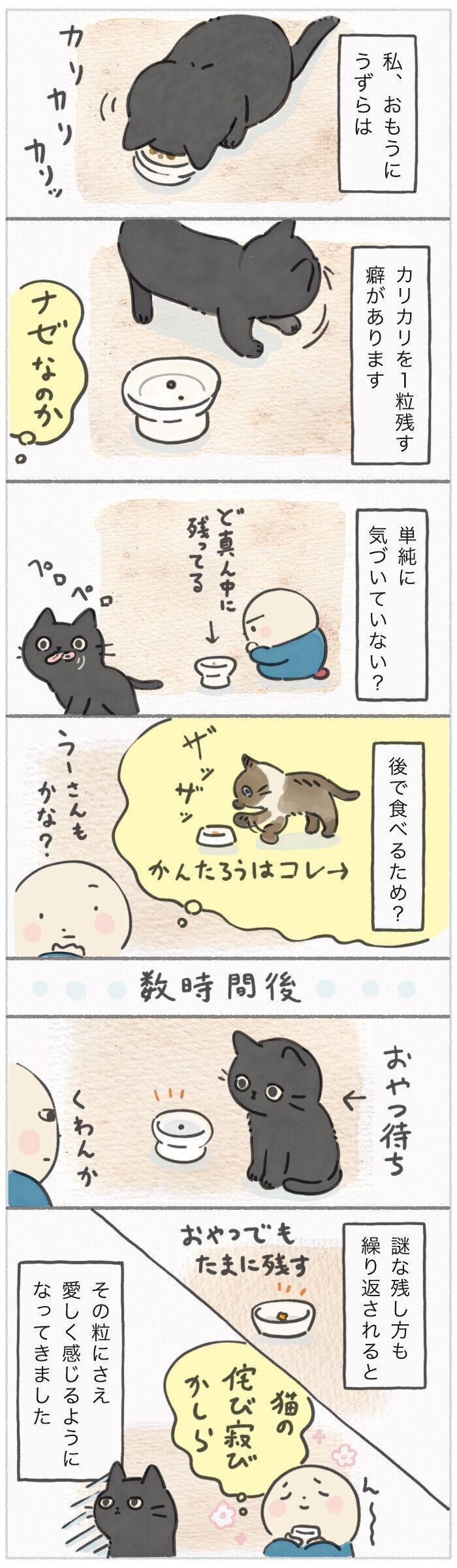 「ねこ連れ草」325話め