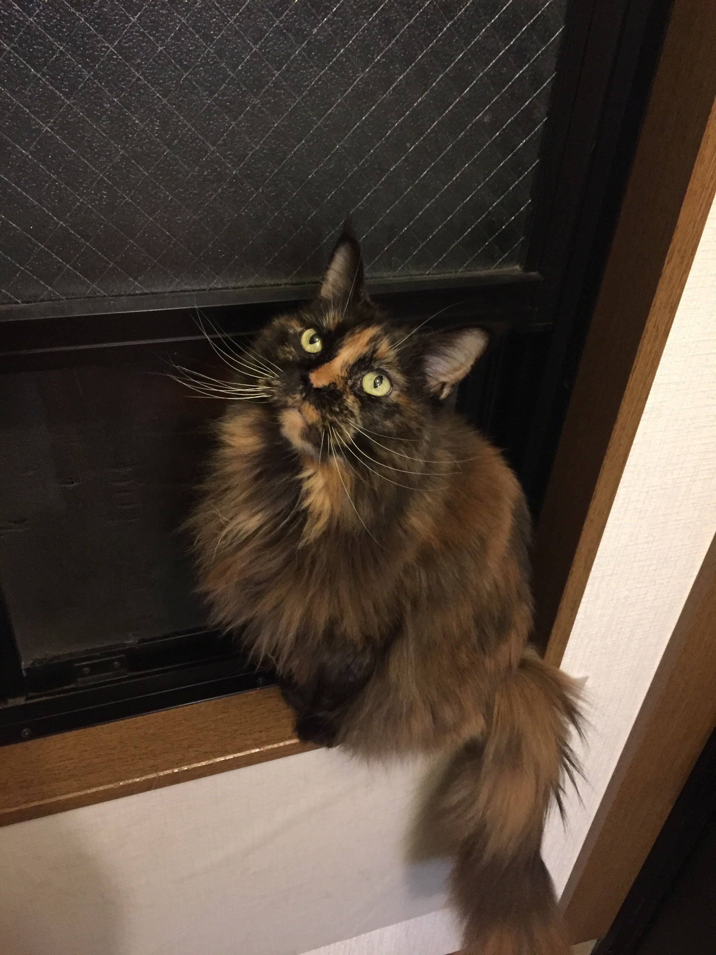 ©片倉真二／講談社