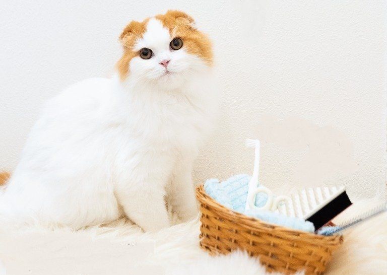 撮影／中川文作