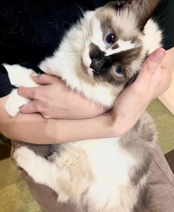 抱っこが好きなほたるちゃん