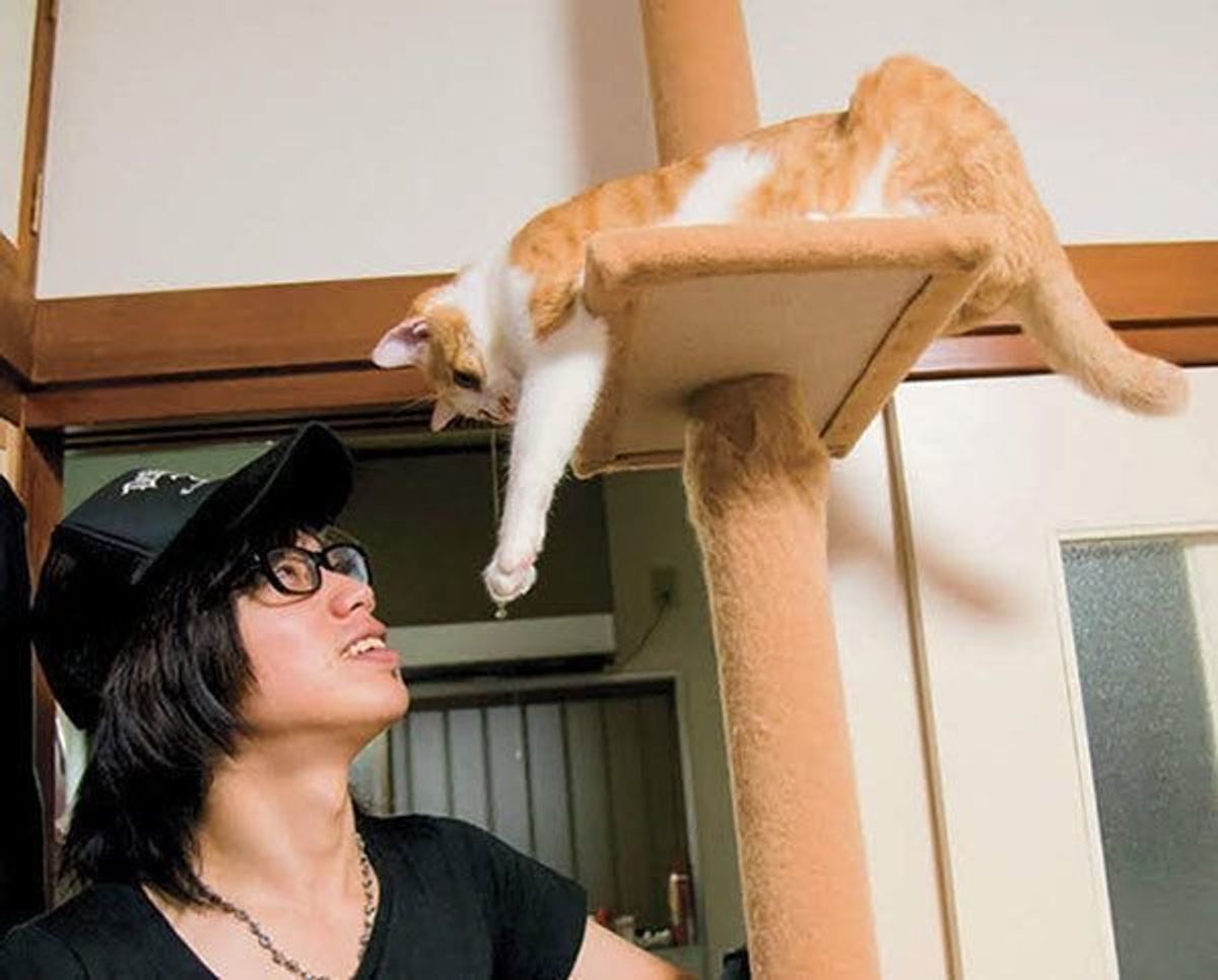 最強猫コンビをもっと知りたい V系バンドマン煉さん 虎徹くんの素顔 ねこのきもちweb Magazine 最強猫コンビをもっと知りたい V系バンドマン煉さん 虎徹くんの素顔 ねこのきもちweb Magazine