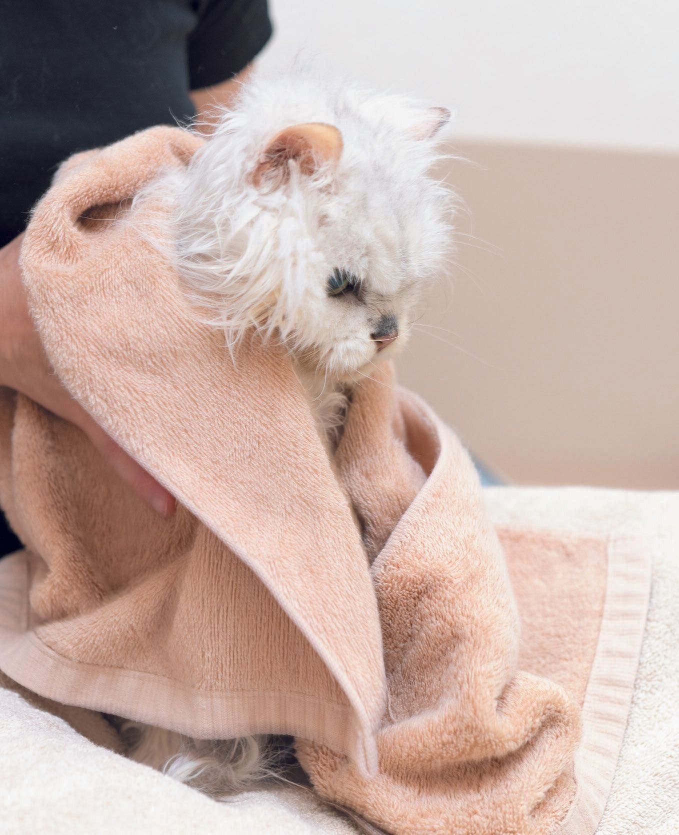 撮影／石原さくら