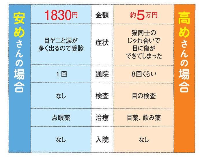 「ねこのきもち」2016年9月号