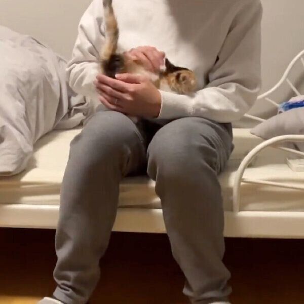 甘えるうなぎちゃん