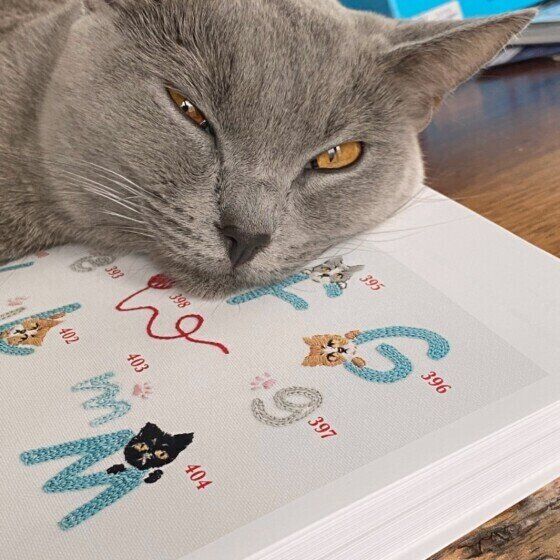 ピンキーちゃん