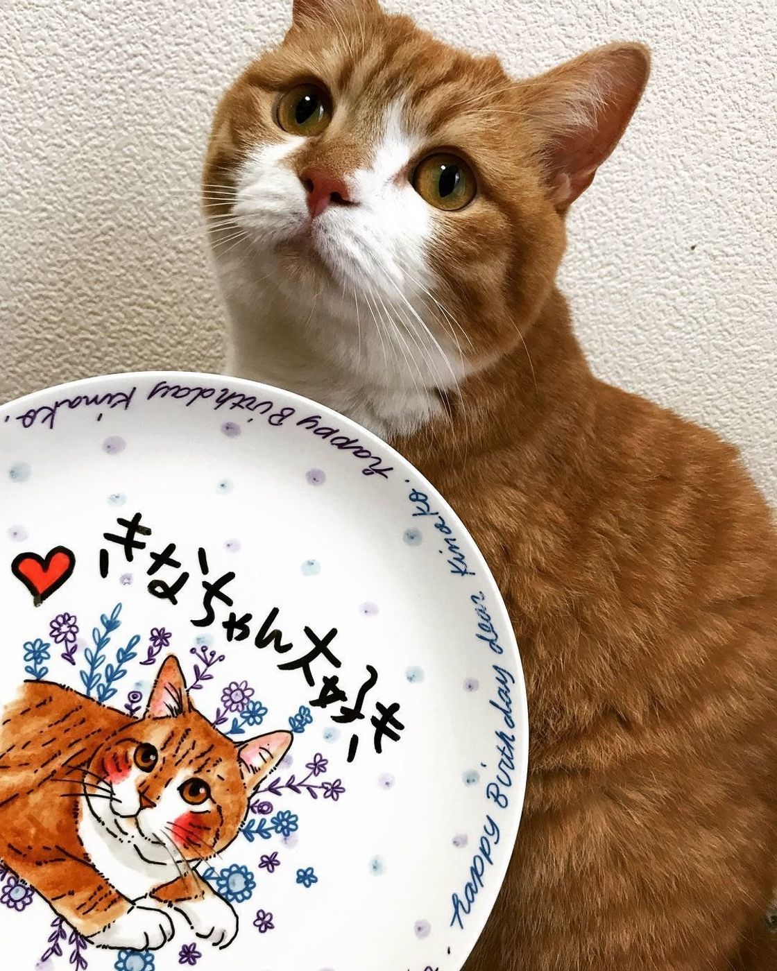 すてきなバースデープレートで愛猫の誕生日をお祝いしよう ねこのきもちweb Magazine すてきなバースデープレートで愛猫の誕生日をお祝いしよう ねこのきもちweb Magazine