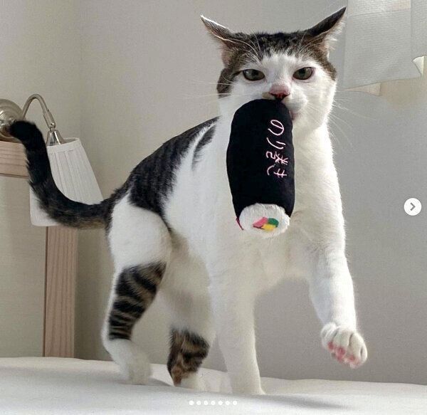 おもちゃを運ぶセロイくん