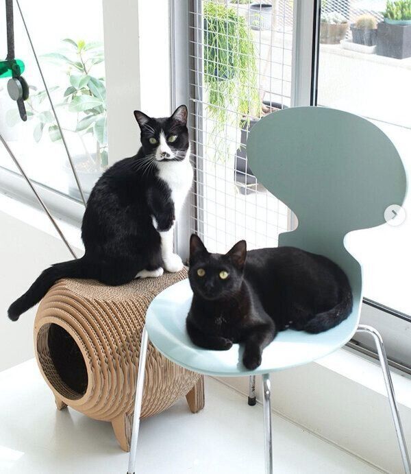 まったりするはなおくん、豆太郎くん