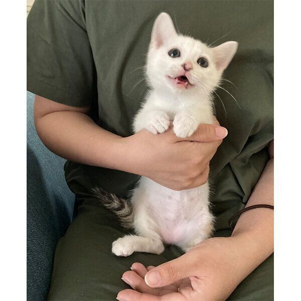 抱っこされるこまちちゃん