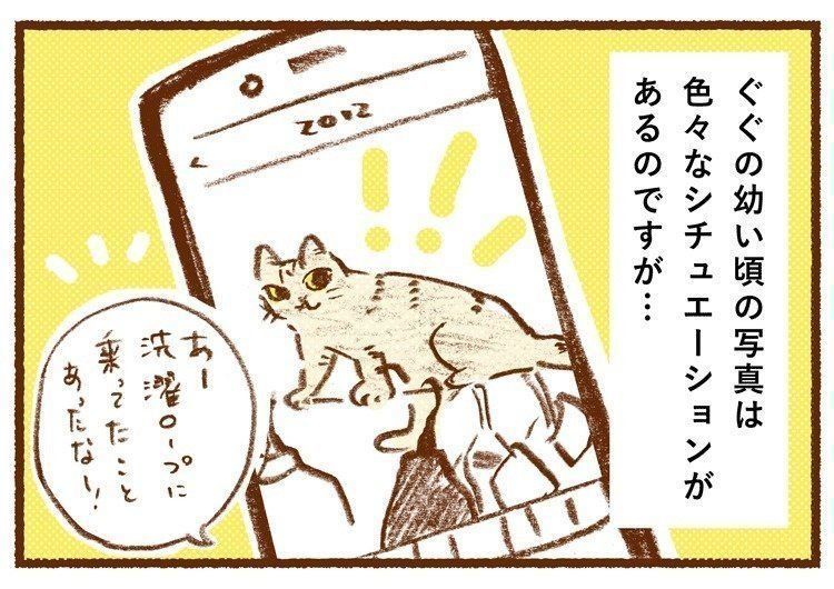 「しまねこぐぐ」サムネイル