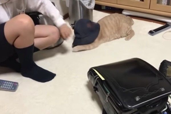 帽子大好きニャンコ