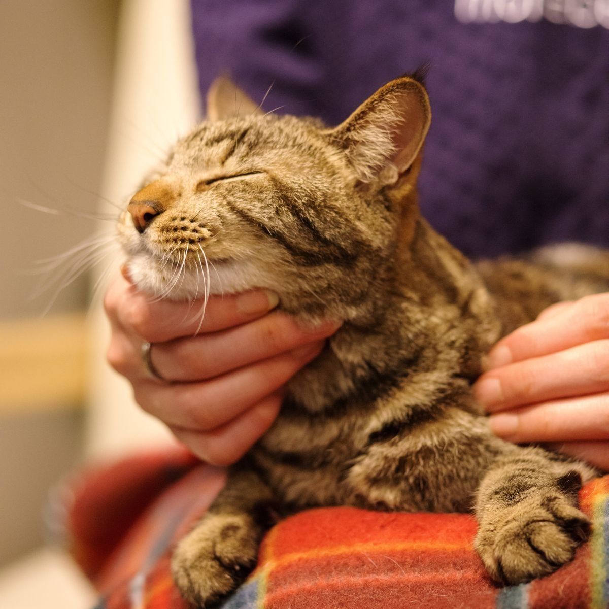 写真／Akimasa Harada