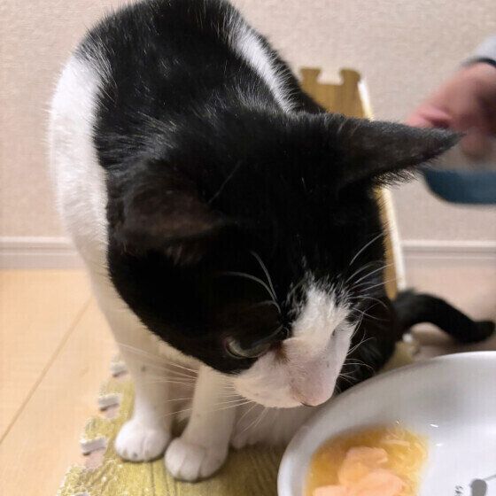 MIXのななふくちゃん