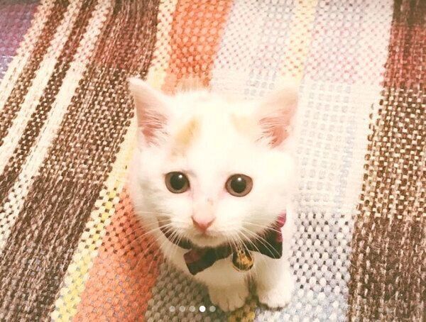 見つめるサニちゃん