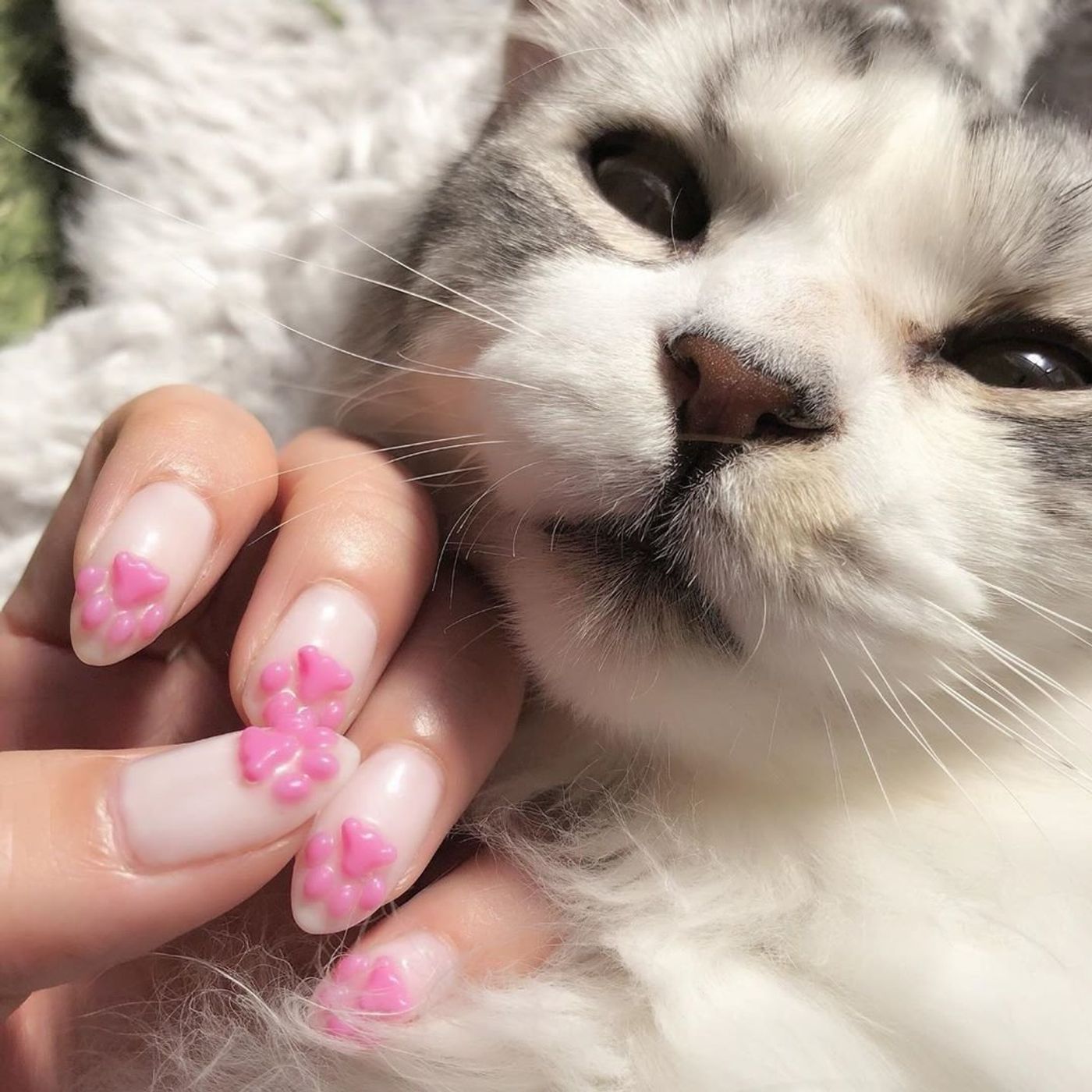 マネしたくなる 猫モチーフのネイルアート にゃんこネイル ねこのきもちweb Magazine マネしたくなる 猫モチーフのネイルアート にゃんこネイル ねこのきもちweb Magazine