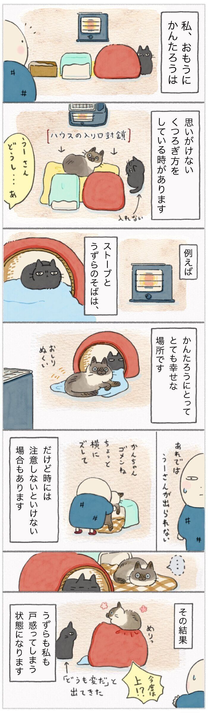 「ねこ連れ草」206話め