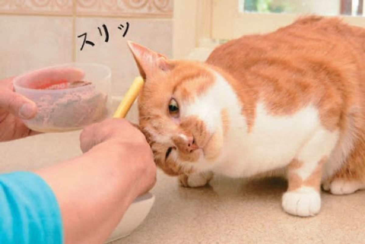 Kzcubtwmw8w7vm Kzcubtwmw8w7vm