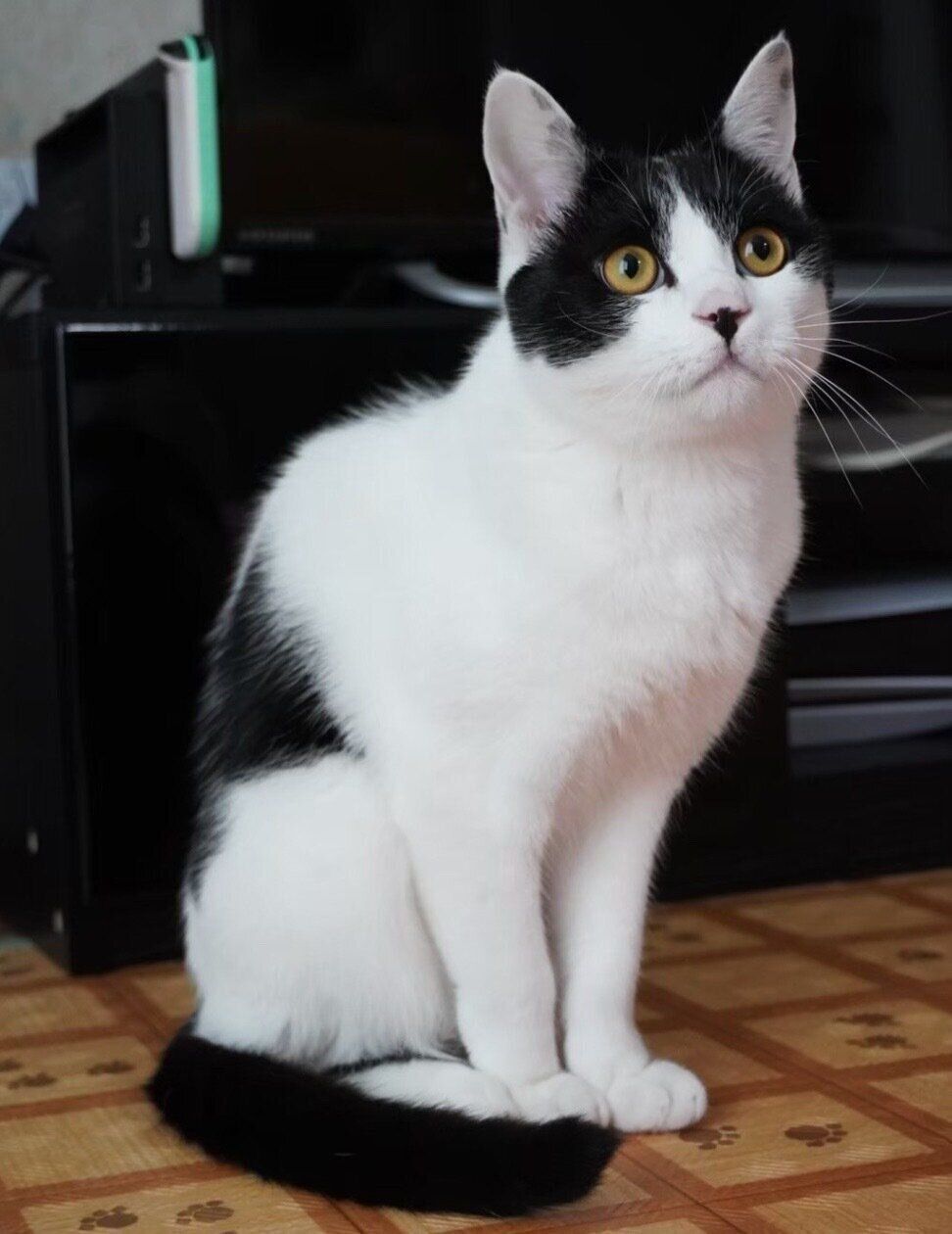 成長したむすびくん